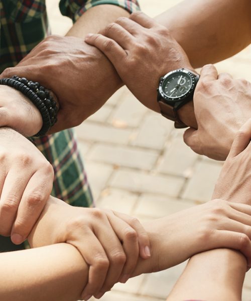 Close-up image of people holding each others wrists